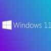 Windows 11 Pro Türkçe Oem (64 Bit) FQC-10556